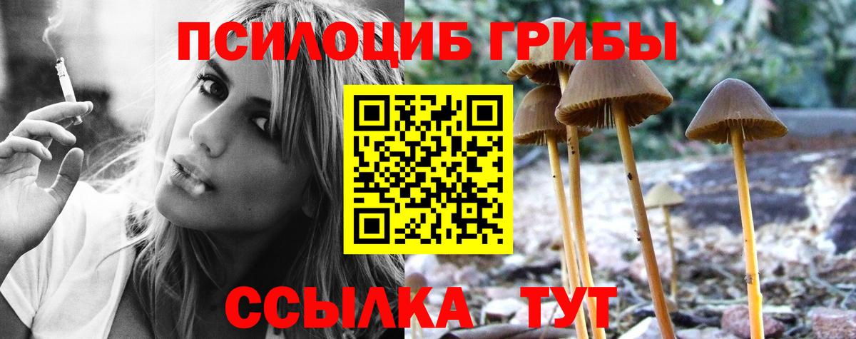 Галлюциногенные грибы GOLDEN TEACHER  Вход с VPN  где продают наркотики  Гусев 