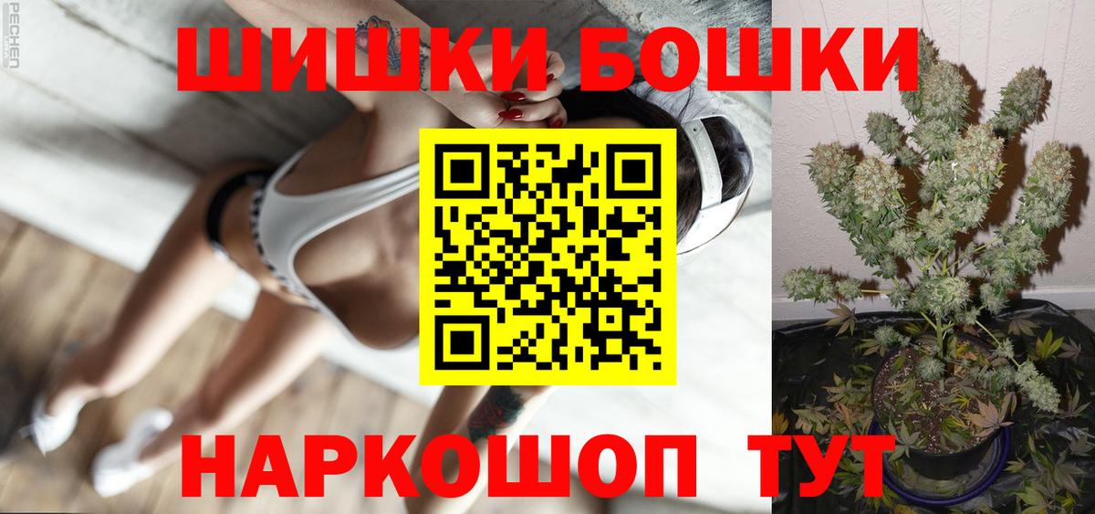 Каннабис планчик Гусев